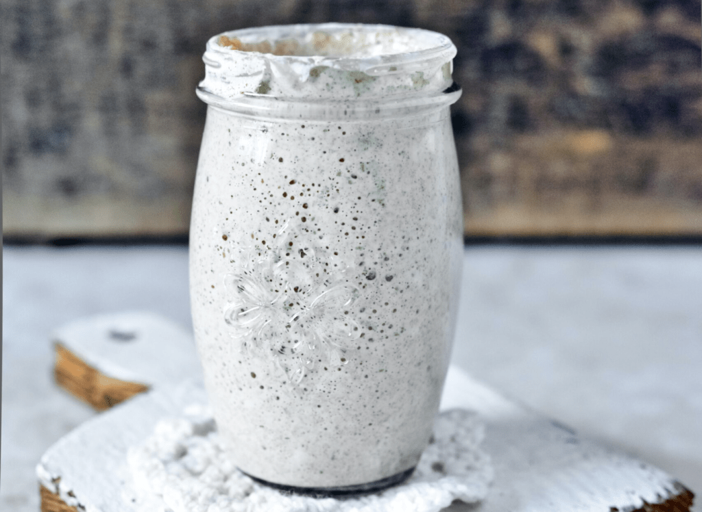 bubbly sourdough starter